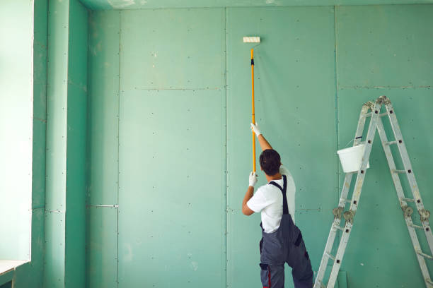 Best Basement Mold Removal  in Bardmoor, FL