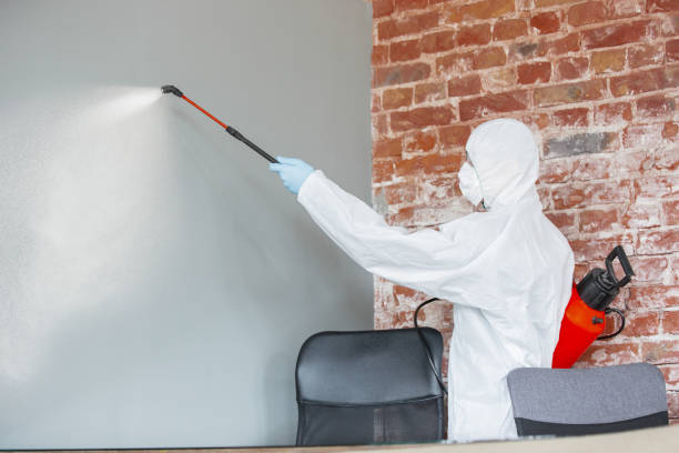 Best Crawl Space Mold Remediation  in Bardmoor, FL
