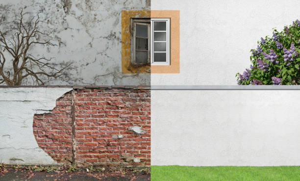 Best Attic Mold Removal  in Bardmoor, FL