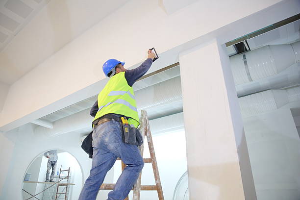 Reliable Bardmoor, FL Mold Removal Solutions