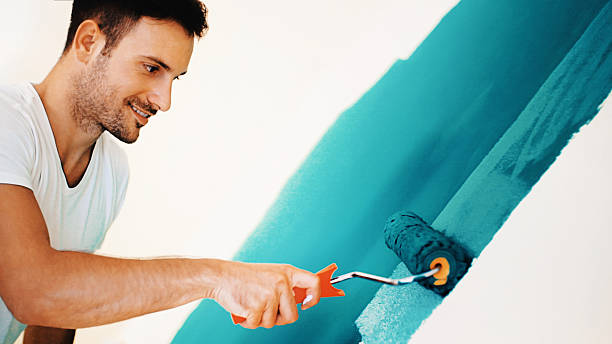 Best Mold Damage Restoration  in Bardmoor, FL