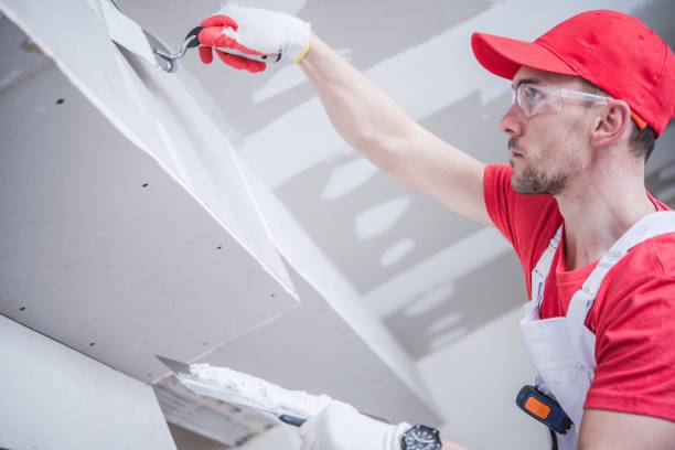 Best Post-Construction Mold Inspection  in Bardmoor, FL